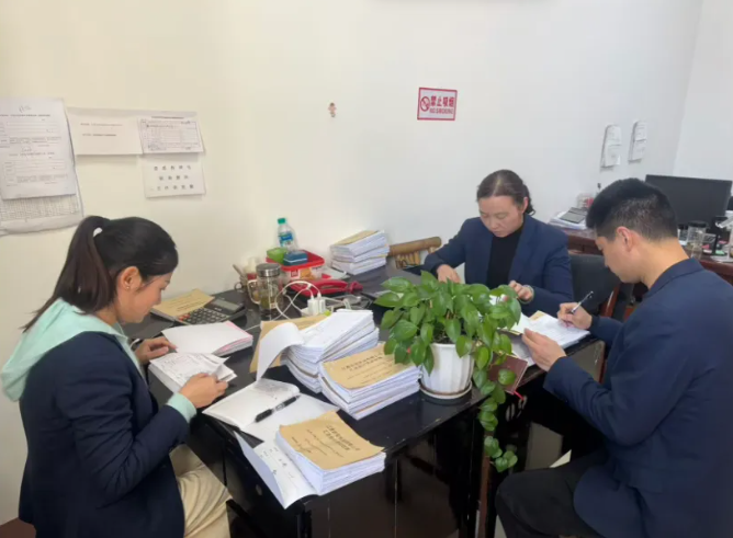 吉安公司開展內(nèi)控專項(xiàng)審計(jì)檢查工作